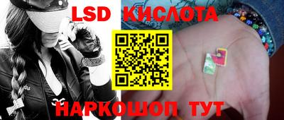 шишки Будённовск