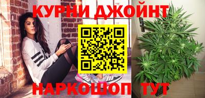 шишки Будённовск