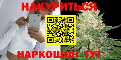 шишки Будённовск