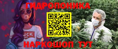 шишки Будённовск