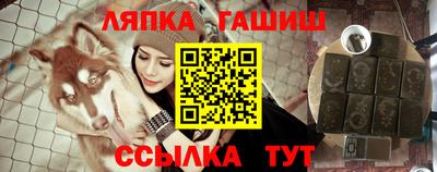 шишки Будённовск