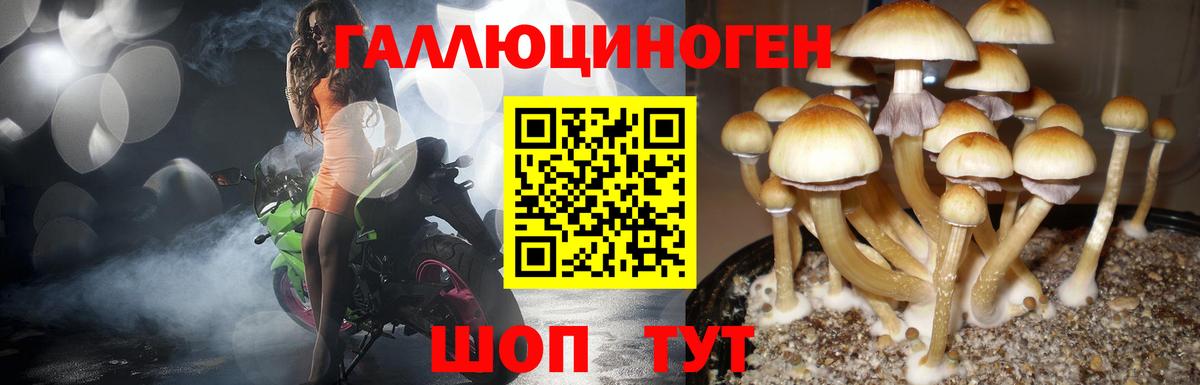 Псилоцибиновые грибы прущие грибы Армавир